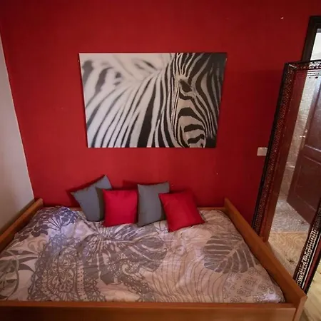 Bonito, Comodo Y Centrico En El Puerto De La Cruz * 푸에르토 드 라 크루즈